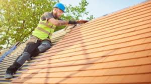 Best Rubber Roofing (EPDM, TPO)  in Great Falls, VA