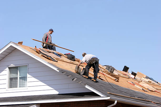 Best Gutter Installation and Repair  in Great Falls, VA