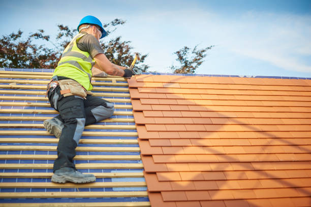 Best Roof Moss and Algae Removal  in Great Falls, VA